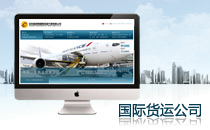 龙顺翔国际货运公司网站建设